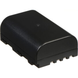 Аккумулятор Panasonic DMW-BLF19E